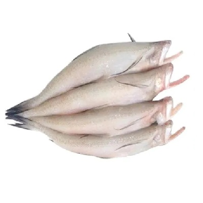 Lote Maach Horeca Bombay Duck 500 gm to 1 kg online
