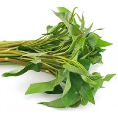 Fresh Green Kalmi Shak Water Spinach 1 bundle buy online kolkata