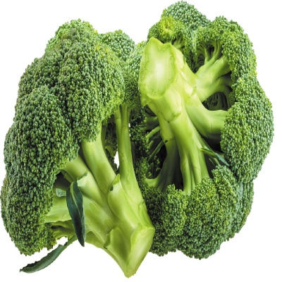 Broccoli Standard Size 1 pc buy online in kolkata